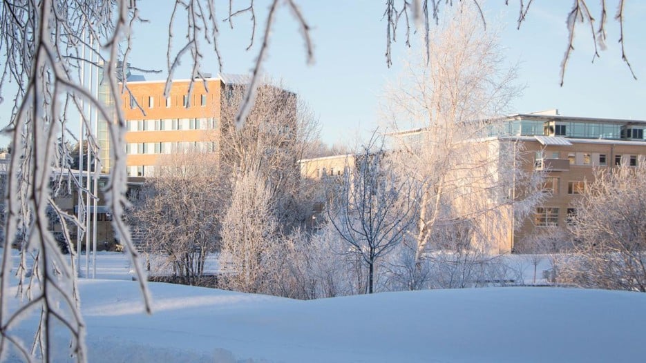 Umeå Campus på vintern.