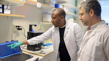 Joram Waititu and Kemal Avican working together in the Avican Lab at the Department of Molecular Biology, Umeå University.