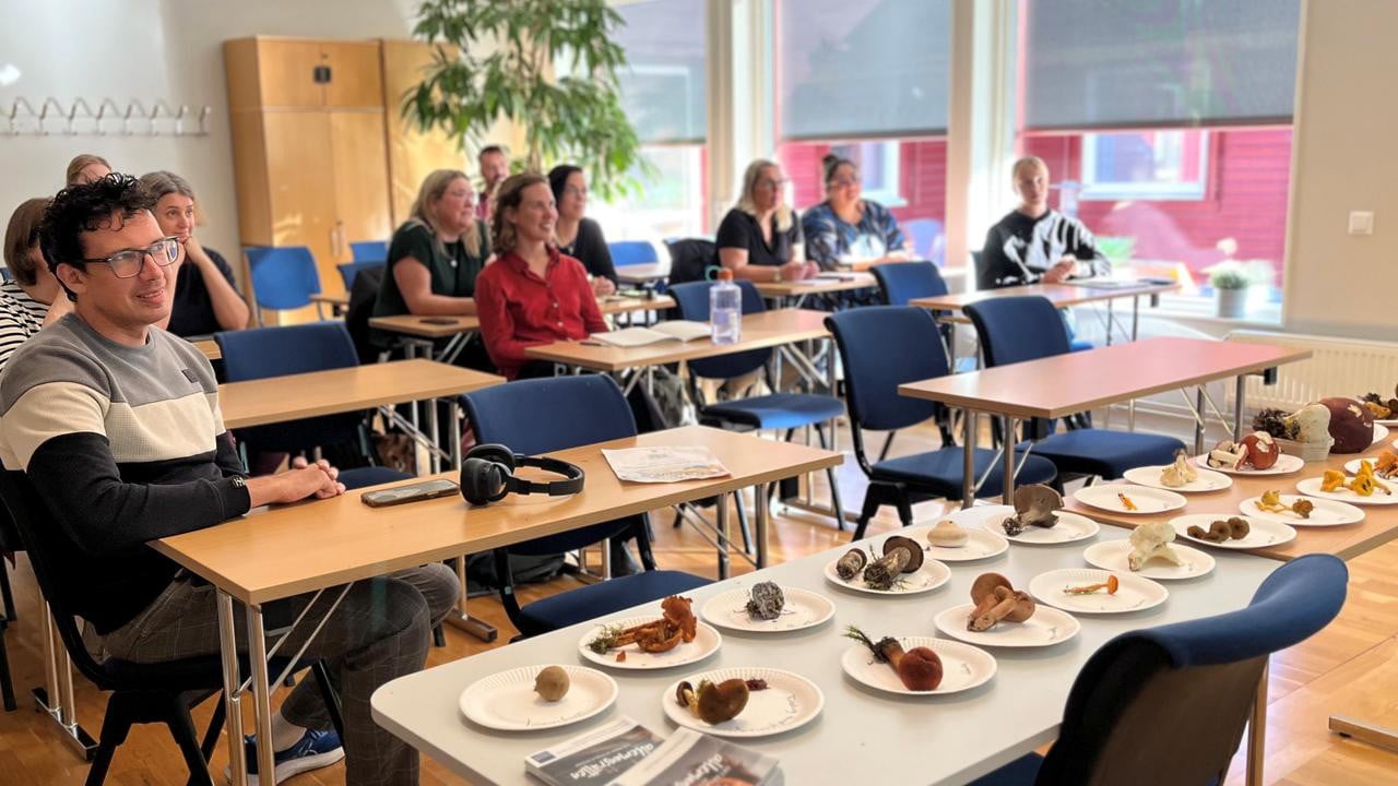 Svampworkshop