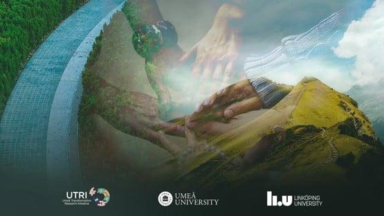 En formaterad temabild till Umeå Transformation Research Initiatives (UTRI) konferens 2026 tillsammans med Linköpings universitet. Konferensen har temat: Beyond the Backlash: 
Sustainability for the Future