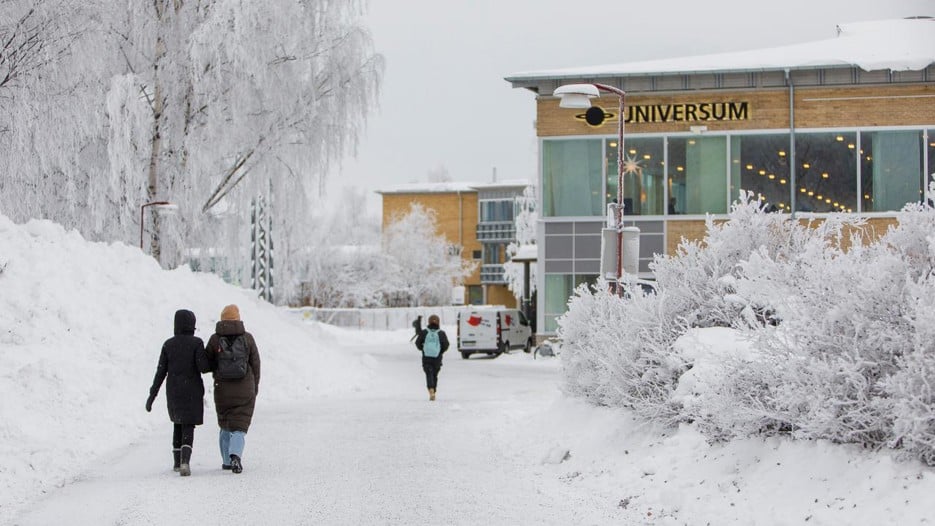 Universitetet på vintern
