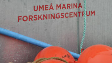 UMF:s logga på forskningsbåten Gråsuggan.