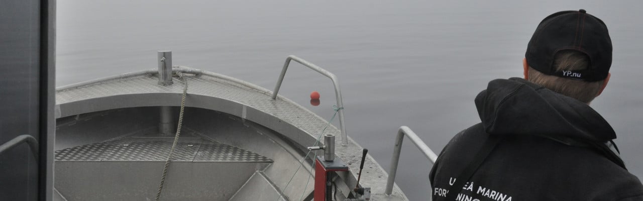 Umeå marina forskningscentrum utför varje år provfiske i Norrbyskärgården/Örefjärden på uppdrag av Länsstyrelsen i Västerbottens län och SLU, institutionen för Akvatiska resurser. Provfisket är en del i ett rikstäckande program med ett 20-tal provfiskeområden i Egentliga Östersjön och Bottniska viken. <br/>I bild: Katarina Konradsson