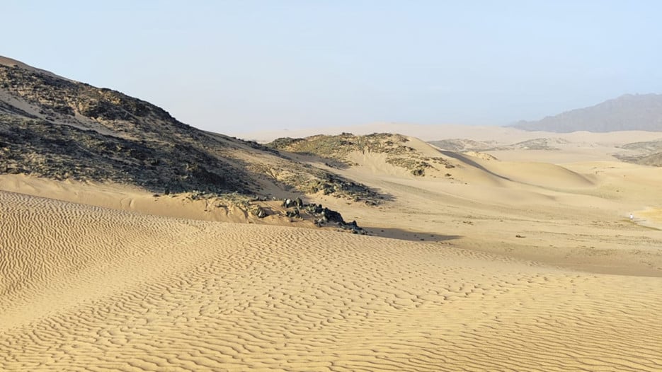 The desert surrounding the Al Wahbah crater in Saudi Arabia, reminiscent of the fictional sand planet Arrakis, is a hostile place for most organisms.