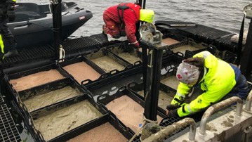 Forskning med höj- och sänkbara bottnar i Gaviken för att undersöka påverkan av vattenkraftsreglering.