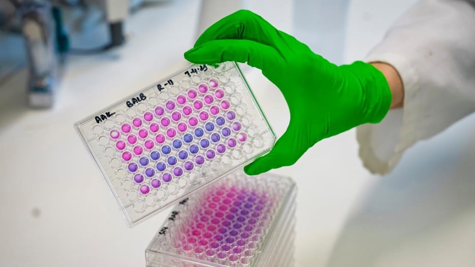 Results from an antibiotic discovery campaign in the Sixtlab.