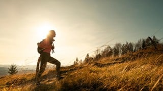 Hiker young woman with backpack rises to the mountain top on mountains landscape background