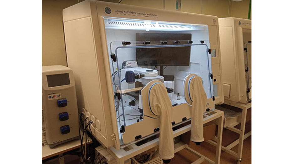 Product image of a Whitley A135 HEPA Workstation, an anaerobic workstation by Don Whitley Scientific Culturing Innovation