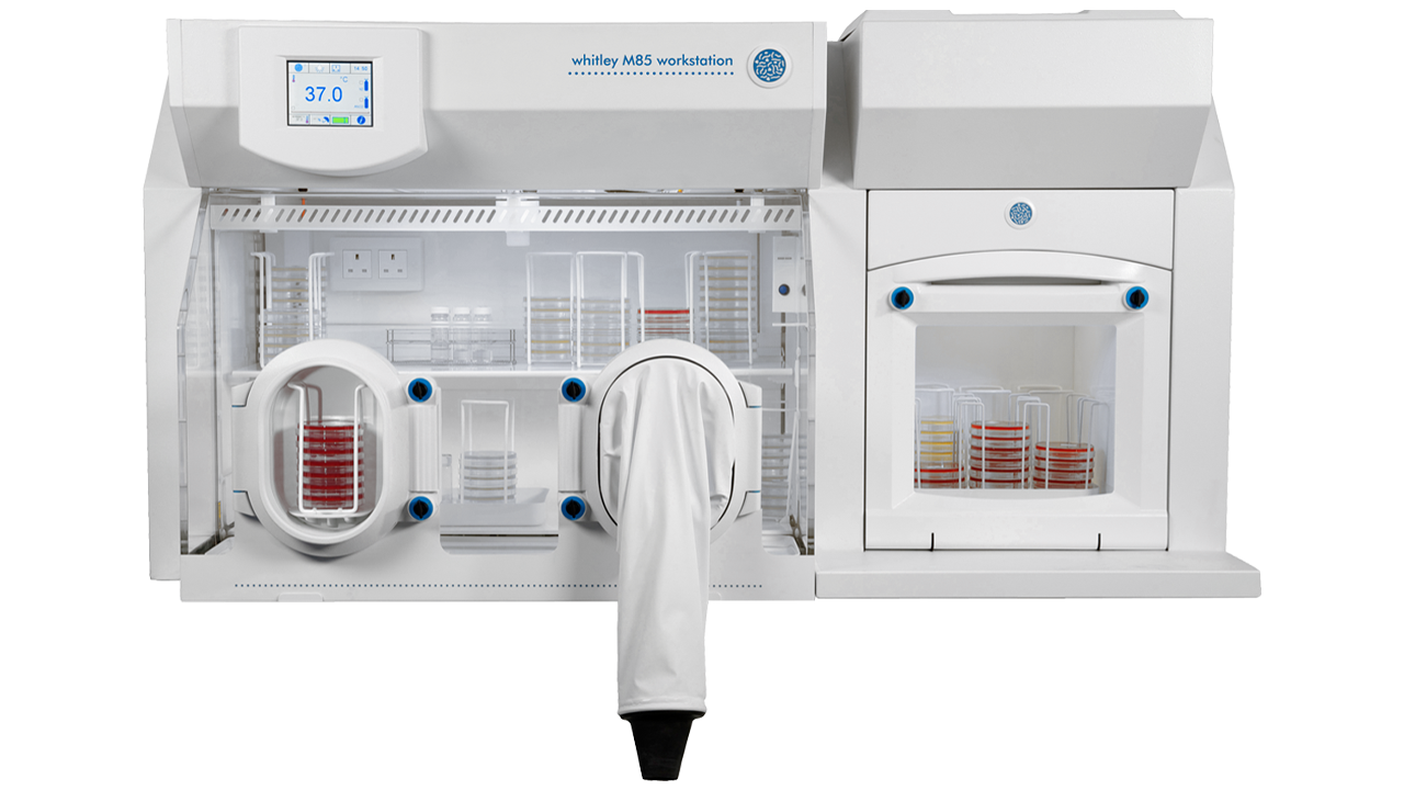 Product image of a Whitley M85 Workstation, a microaerobic workstation by Don Whitley Scientific Culturing Innovation