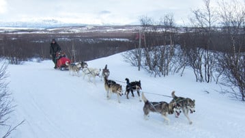 Hundspann i fjällen. Genrebild från Mostphotos.