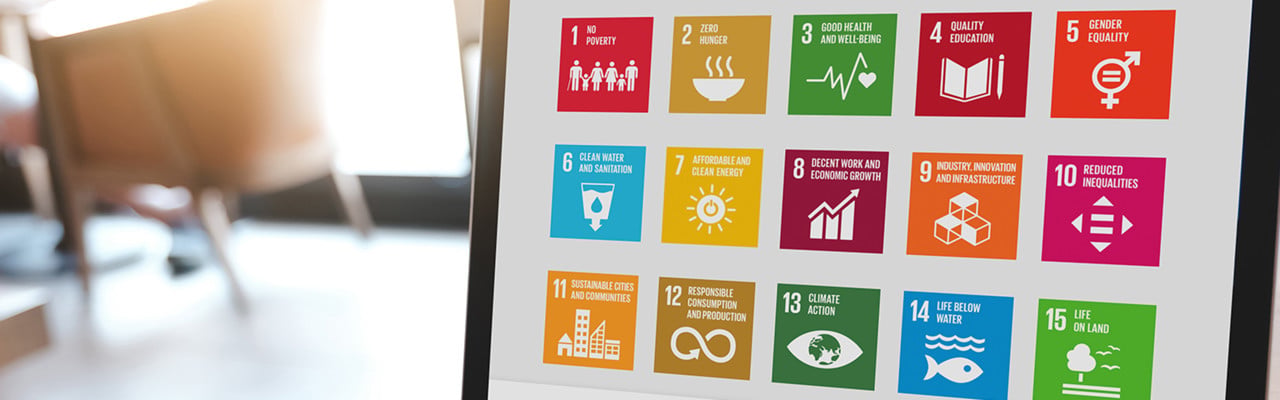SDG Impact Assessment Tool