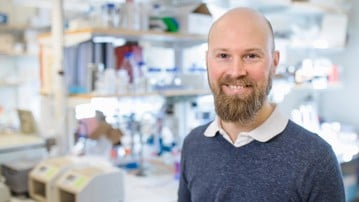 Bild på Björn Schröder, gruppledare vid MIMS, The Laboratory for Molecular Infection Medicine Sweden (MIMS) - The Nordic EMBL Partnership for Molecular Medicine, infektionsbiolog, forskarevid institutionen för molekylärbiologi