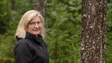 Professor vid Statsvetenskapliga institutionen