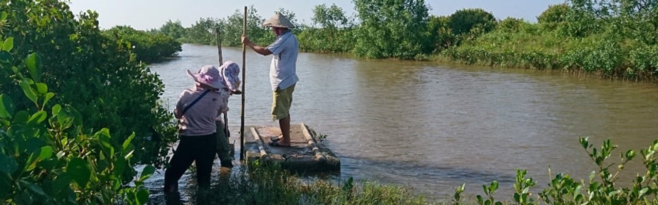 Blue carbon ecosystems are intimately connected to society, such as these mangrove forests located in shrimp farm aquaculture in northern Vietnam.