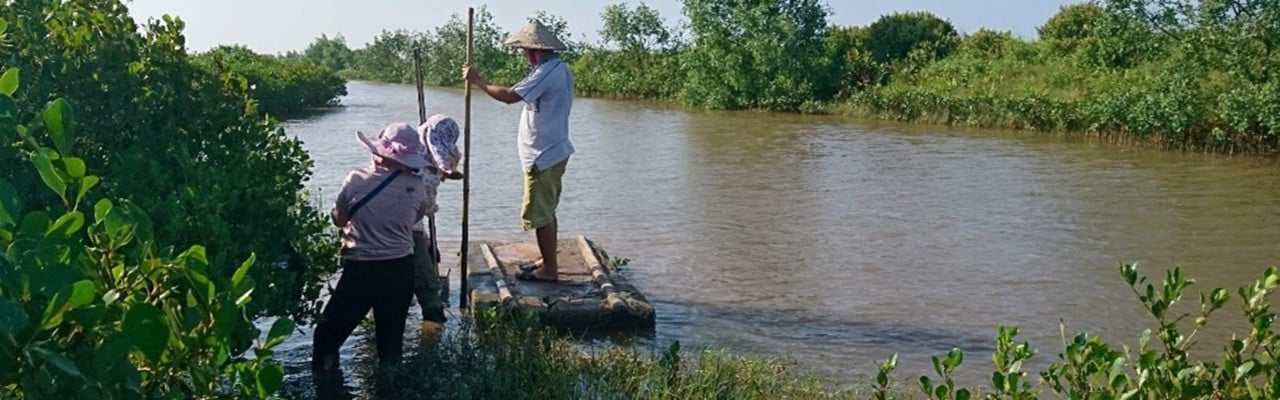 Blue carbon ecosystems are intimately connected to society, such as these mangrove forests located in shrimp farm aquaculture in northern Vietnam.