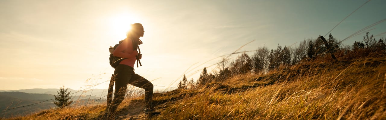 Hiker young woman with backpack rises to the mountain top on mountains landscape background