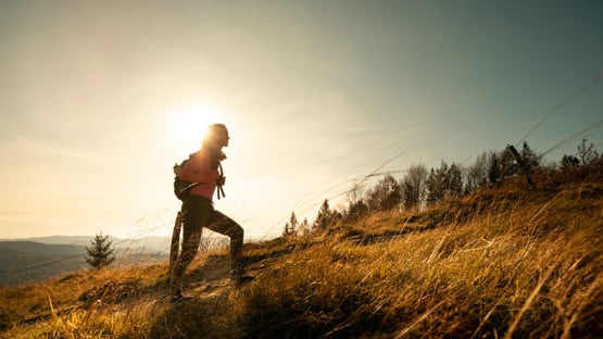 Hiker young woman with backpack rises to the mountain top on mountains landscape background