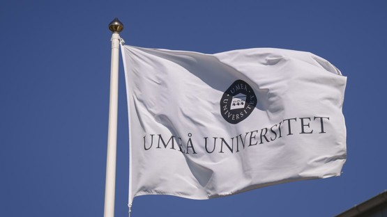 universitets logotyp på flaggor