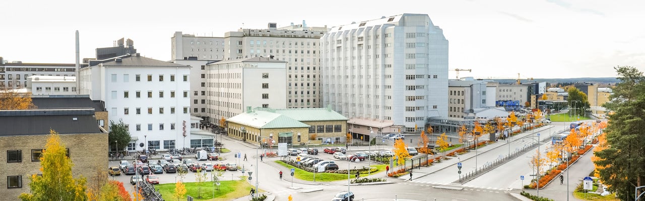 Tandläkarhögskolan (Dallashuset] och rondell intill Daniel Naezéns gata vid Norrlands universitetssjukhus, sett från Samverkanshuset på Campus Umeå.