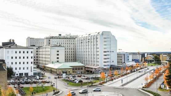 Rondellen mellan Tandläkarhögskolan och Campus Umeå