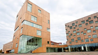 Bildmuseet
