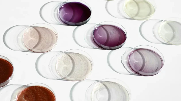 Bio-Based materials research and iterations.