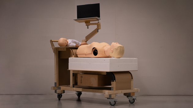 Mockup of the current RQI cart