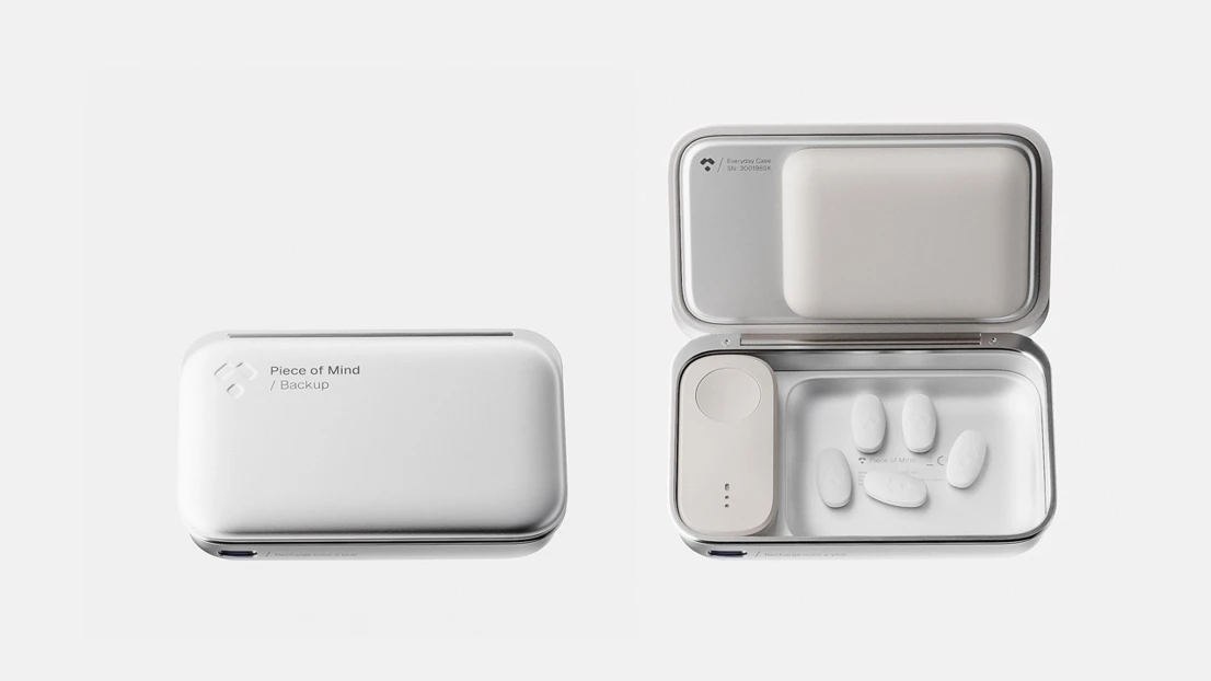 Backup case