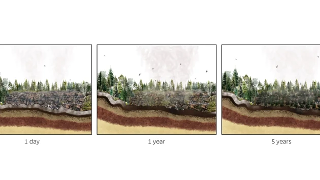 Henri Albers_Annihilation of Swedish Forest