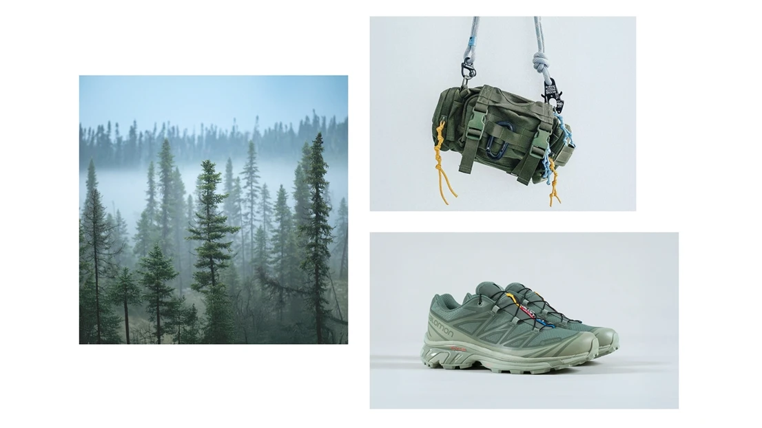 CMF moodboard– inspired from the Tajga forest.