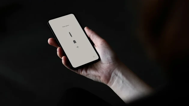 Digital companion.