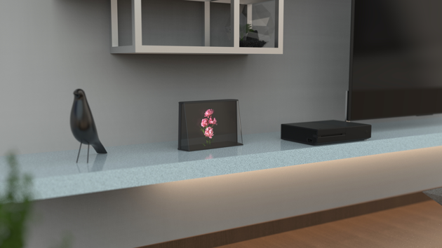 VisQuest passively used in the living room 