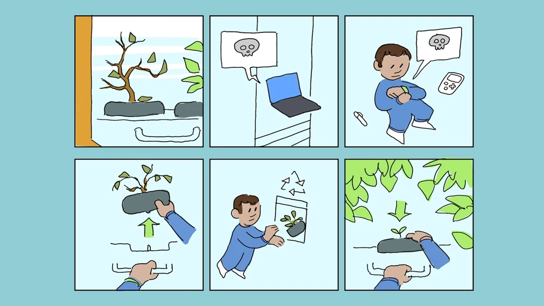 Scenario – Re-planting