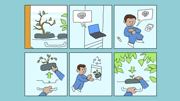 Scenario – Re-planting