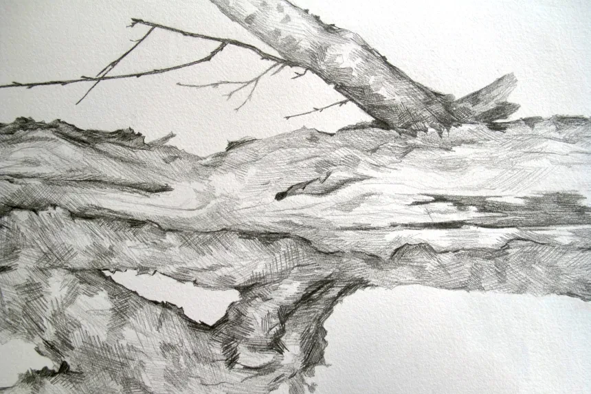 Tekning natur