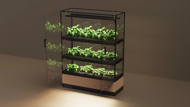 Reimagining hotels where guests engage in sustainability through local food cultivation