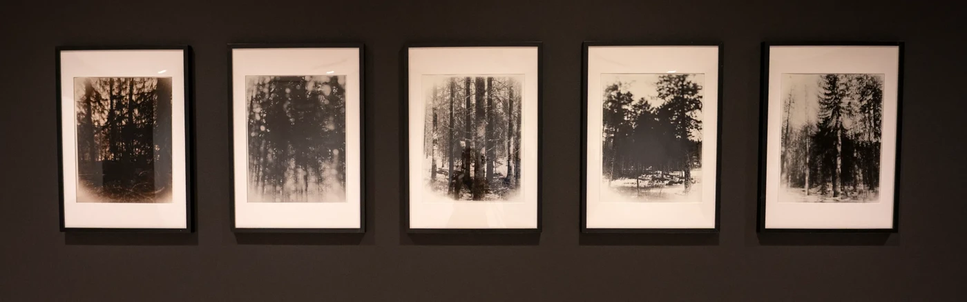 Photographies by Raphael Vargas 