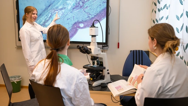 Laborationsbilder till Biomedicinsk analytikerprogrammets programsida, Klinisk mikrobiologi