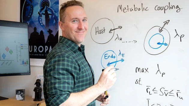 Man som skriver på en whiteboard