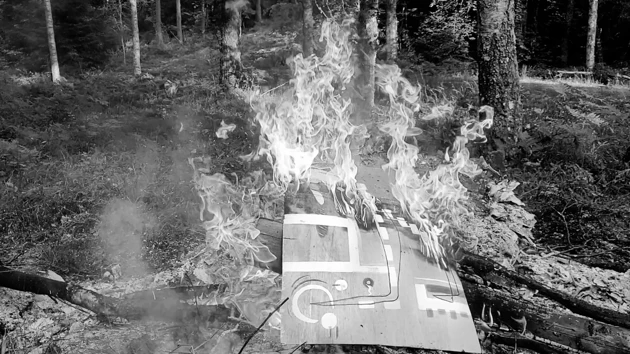Brinnande träskiva i skogen