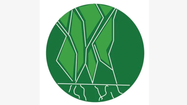 Abstrakt logotyp, cirkel grön färg vita linjer
