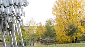 Höstfärger på campus.