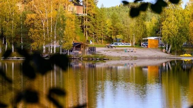 Granö beckasin in autumn