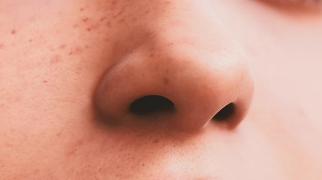 Rediscover your world through mindful olfactory practices one breath at a time