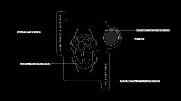 Dide Sevinçok – Rooted