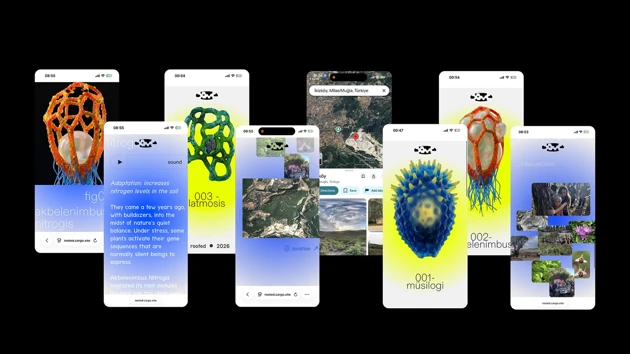 Dide Sevinçok – Rooted