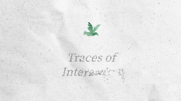 Lin Wang – Traces of interaction