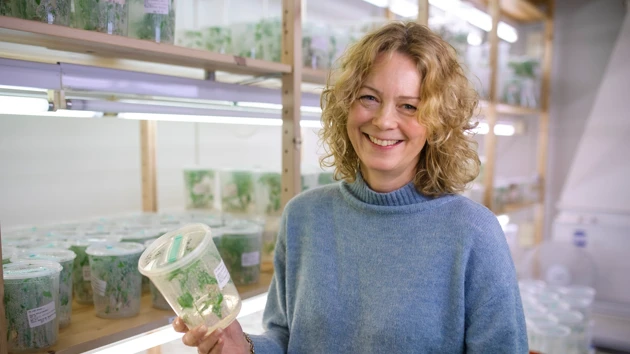 Åsa Strand,  professor vid Institutionen för fysiologisk botanik
