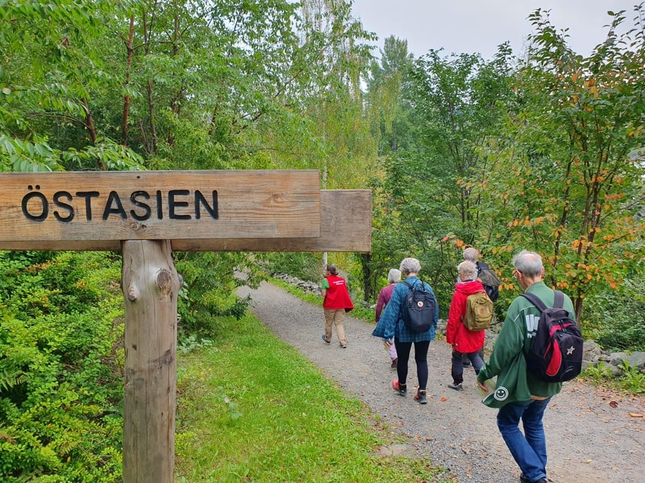 Människor som promenerar i Arboretum Norr