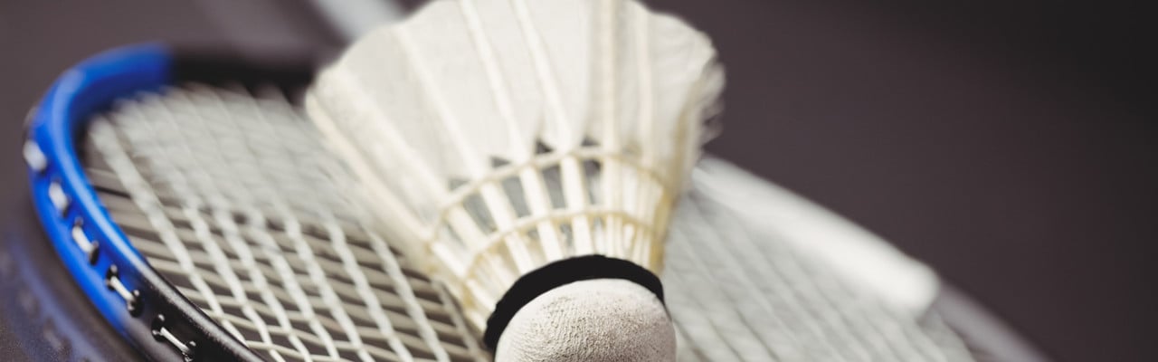 Närbild på badmintonracket med badmintonboll.